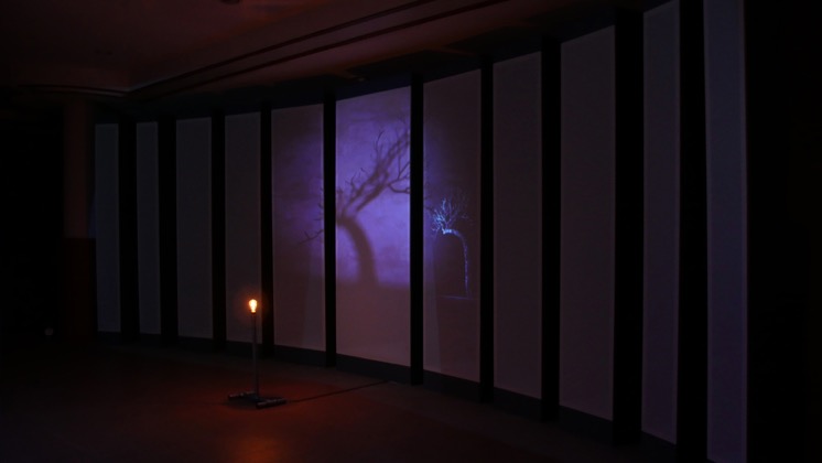 Double Oceans installation